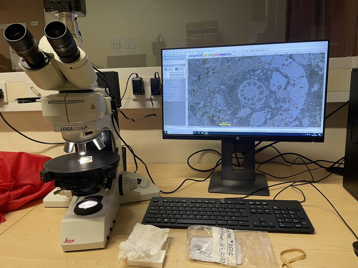 Some exciting pictures from some thin sections I had made in the labs at Leicester. The first few are from a dacite containing garnets and zoned plagioclase, while the last picture is from a nummulitic limestone!