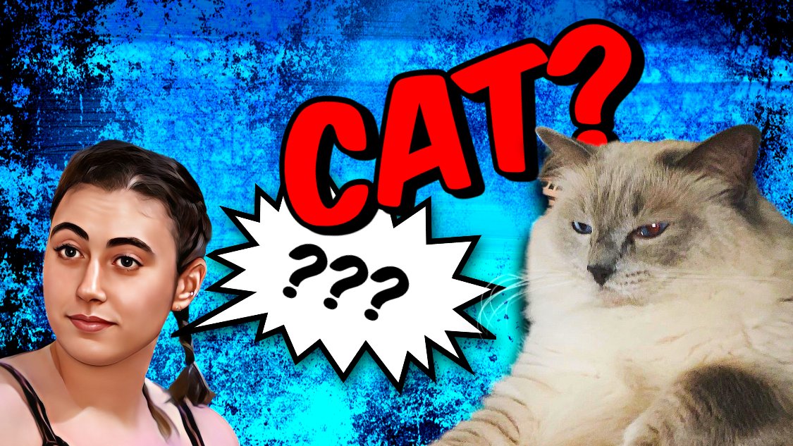 RyanR3AP3R's tweet photo. Blabs Learns About Ryno's Cat

👇Watch Here👇
https://t.co/1jwTI4BByS

#FullAussie #cats #CatsOfTwitter #CatsOfX https://t.co/dreHqcPy7O