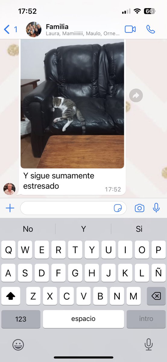 Mi papa: No quiero más animales en casa.
Tres doritos despues...