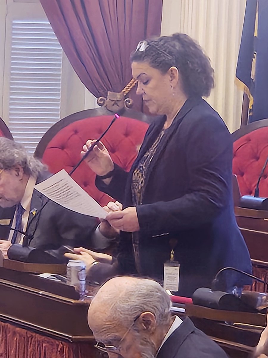 This is one of the Representatives, Laura Sibilia that offered the resolution to acknowledge school board members in the month of February. Here she is speaking to the resolution on the house floor. Thank you Representative Sibilia and thank you for your school board service!