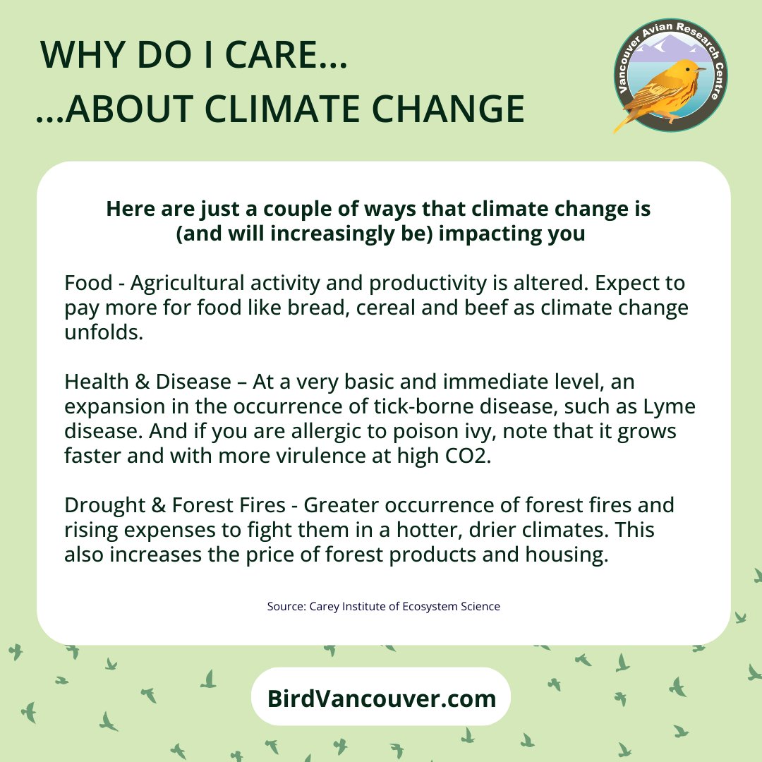 VARCbirdbanding's tweet photo. #WhydoIcare #VARC #BirdVancouver https://t.co/4e6Q8Mcvxk