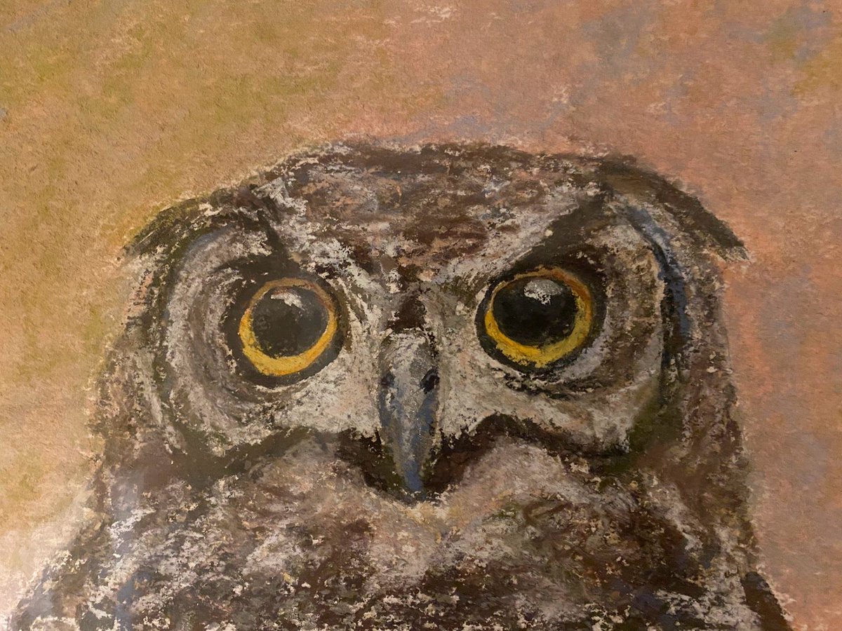 Curious about what owls do while we're asleep?
This poetic #PB follows a Great Horned Owl family from dusk to dawn
Author/Illustrator #PBPitch #L #NF