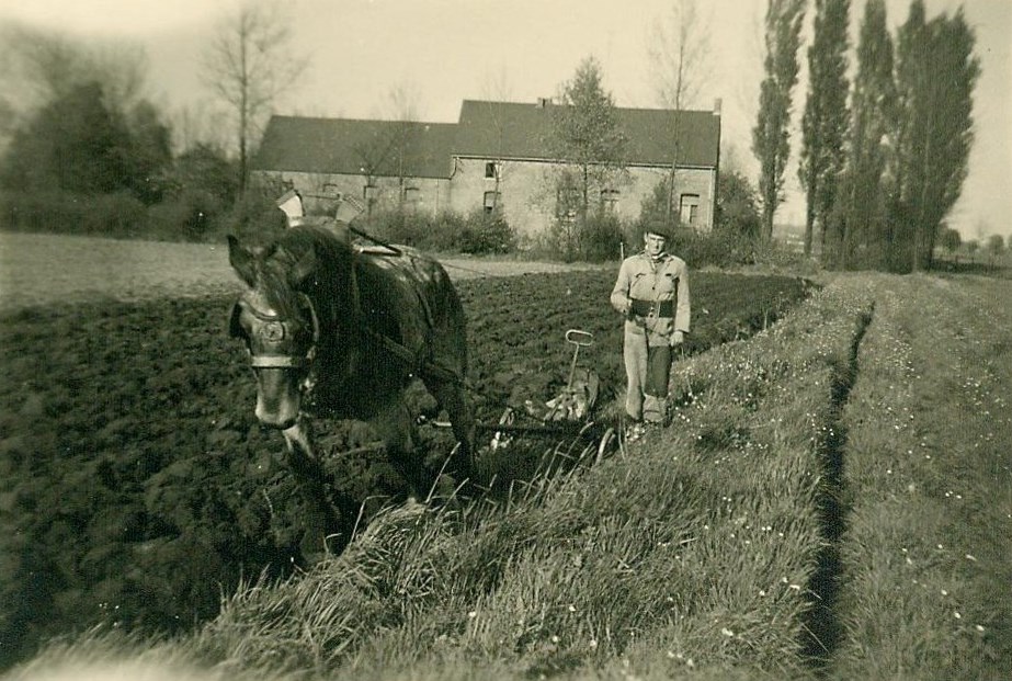 CarineKnapen's tweet photo. STIKSTOFDECREET GEPUBLICEERD

Het PAS Decreet, beter bekend als het Stikstof Decreet werd deze ochtend in ongewijzigde vorm gepubliceerd in de Bijlagen tot het Belgisch Staatsblad. 
Het Decreet treedt morgen in werking dus alle boeren zullen zich vanaf middernacht moeten schikken naar de nieuwe moordende maatregelen.
https://t.co/8pOcpP5Bgi

Naar aloude gewoonte hebben we ook hierover NIETS vernomen in het journaal van VRT en VTM.
Dit is GEEN nieuws....
Wat betreft de geschreven pers heeft enkel GVA een artikel gepubliceerd. Voor het overige vinden we kennisgeving enkel terug op gespecialiseerde nieuwskanalen van de landbouw.
https://t.co/udYiagsrVN
https://t.co/H3hVipmmuq

Het is nu aan de landbouworganisaties en de individuele boeren die een collectief vormen om een vordering tot schorsing en nietigverklaring in te stellen voor het Grondwettelijk Hof.

Ik wens alle boeren veel succes en nog meer moed. Zonder boeren, geen eten. 🌹

En de boer, hij ploegde voort ....