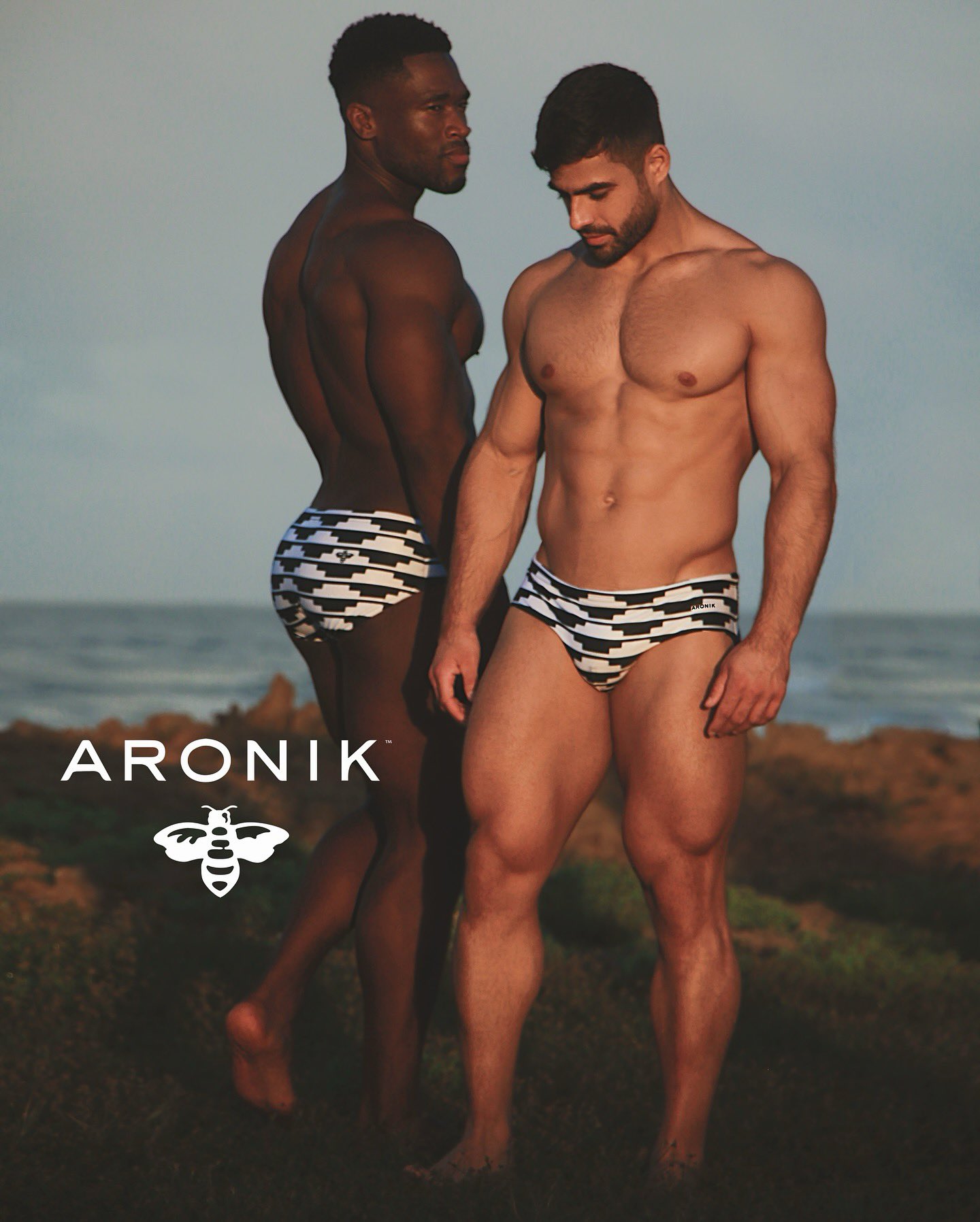 ARONIK