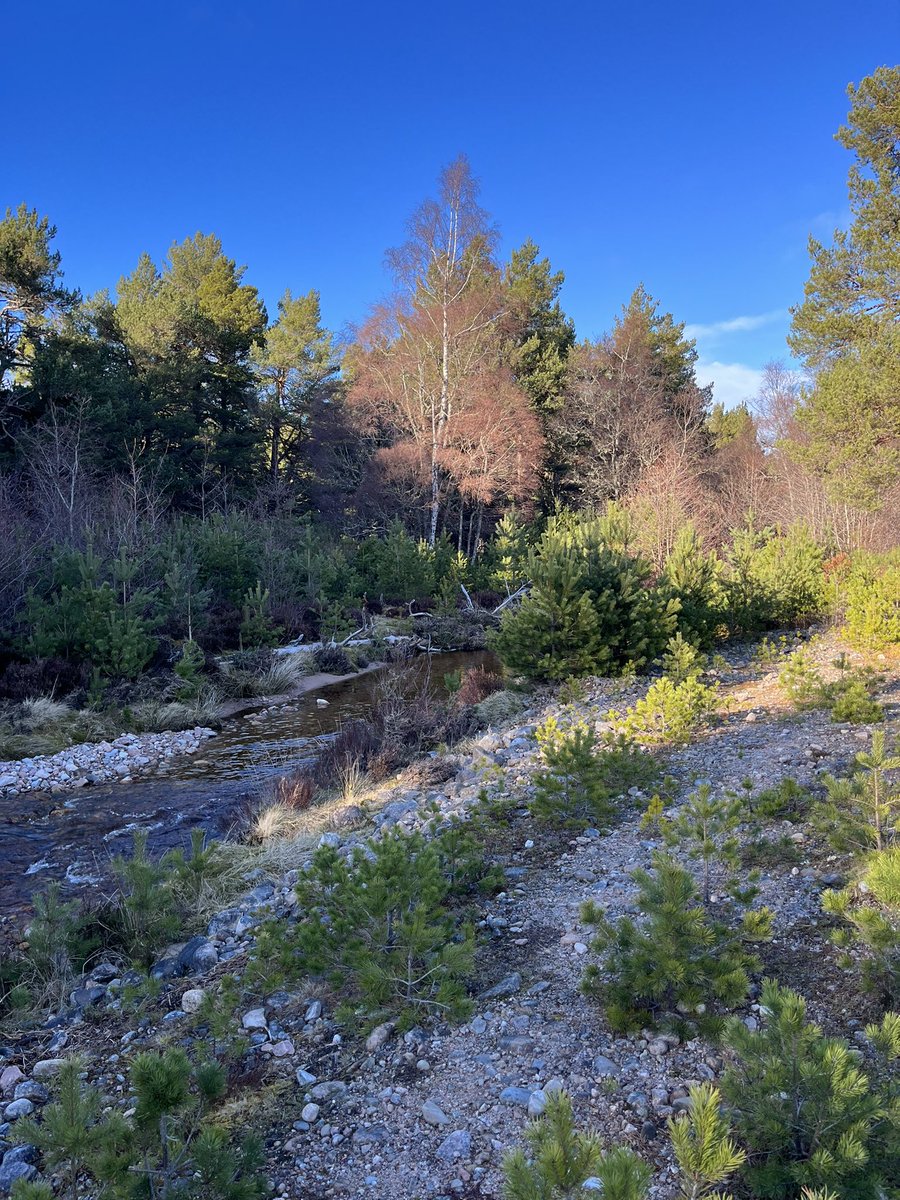 Lucy Daniels tweet media