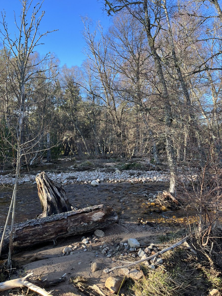 Lucy Daniels tweet media