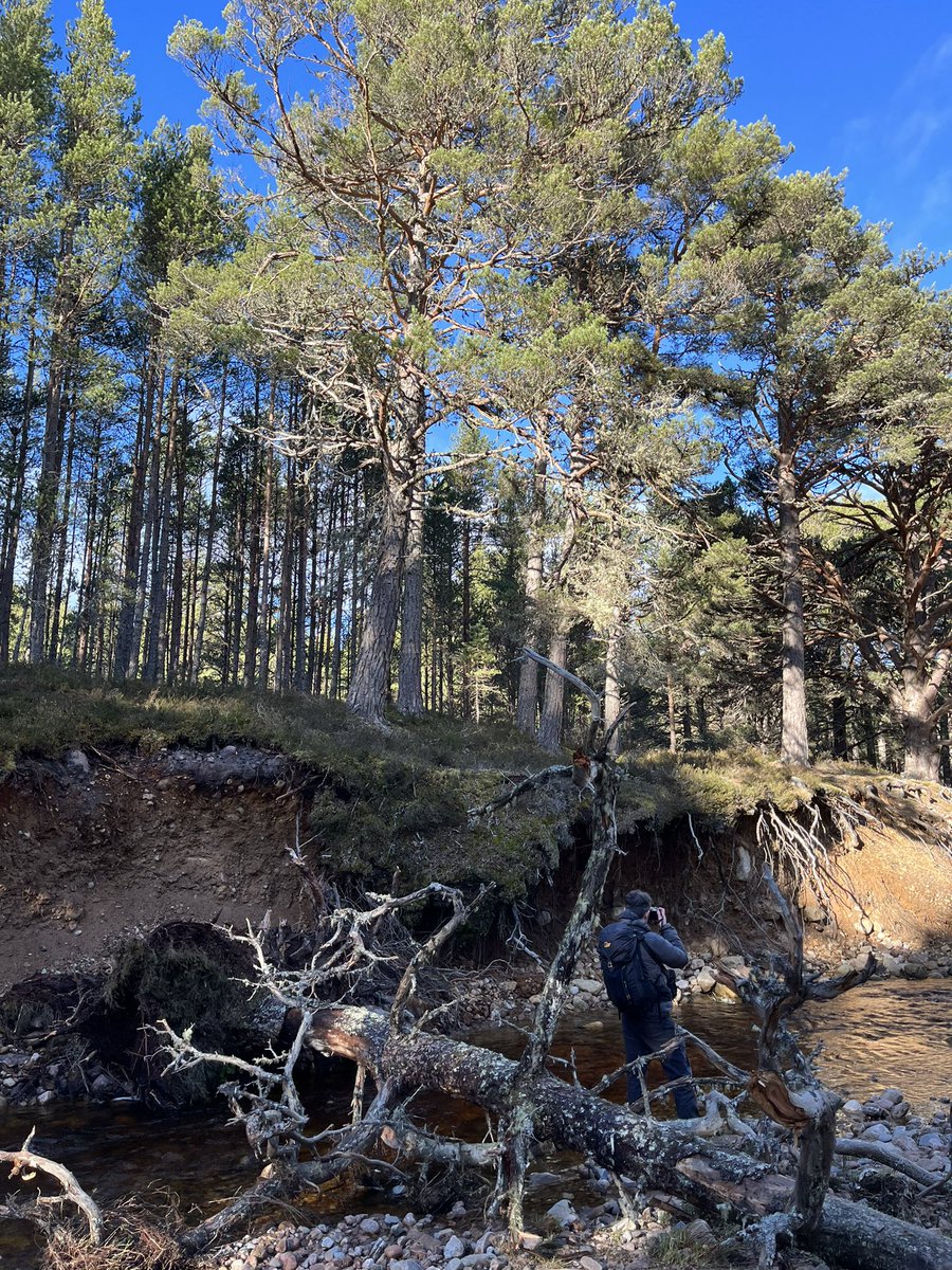 Lucy Daniels tweet media