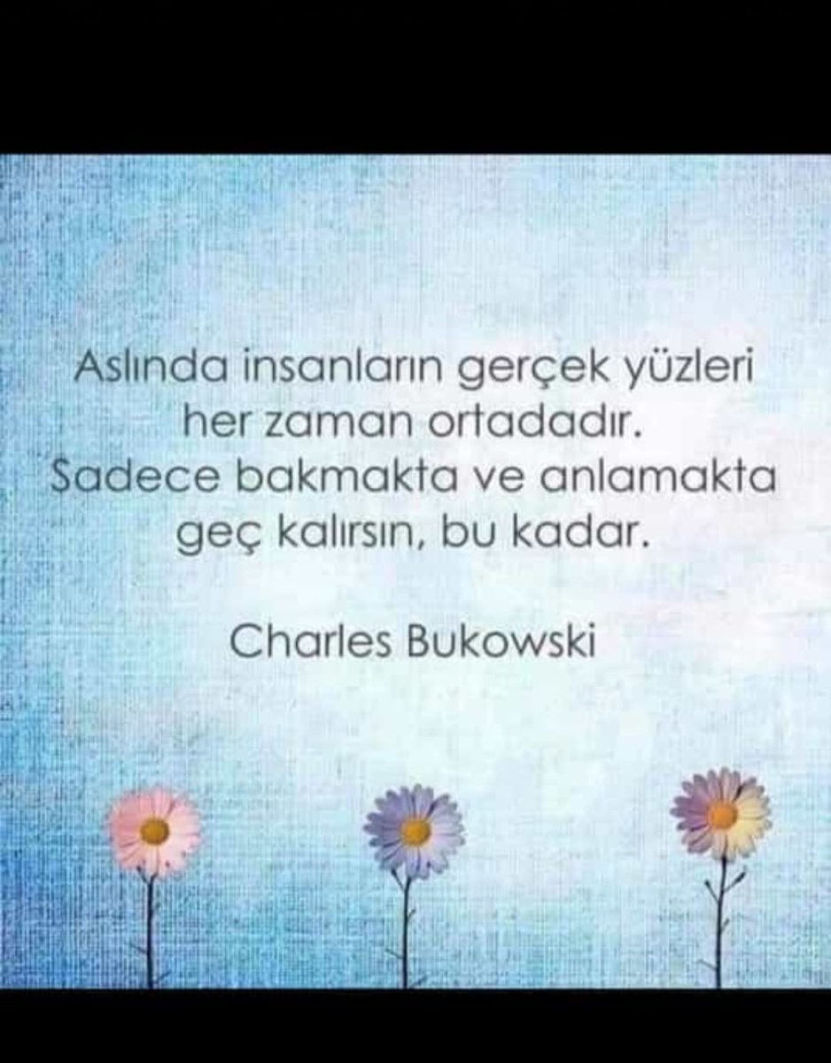 IUgramaz28958's tweet photo. @oziplikis1978 Ankara Kuşu https://t.co/9gS1TvEsst