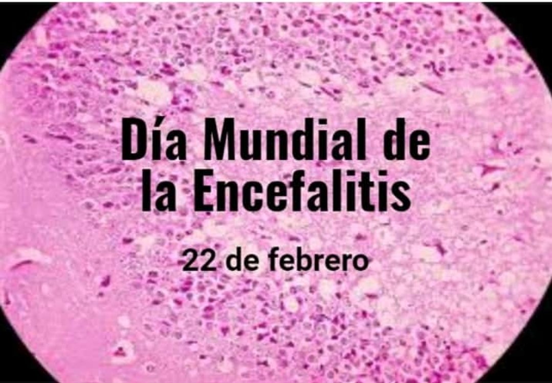 asocia14bis's tweet photo. #Encefalitis #22Febrero https://t.co/oFiZYstb18