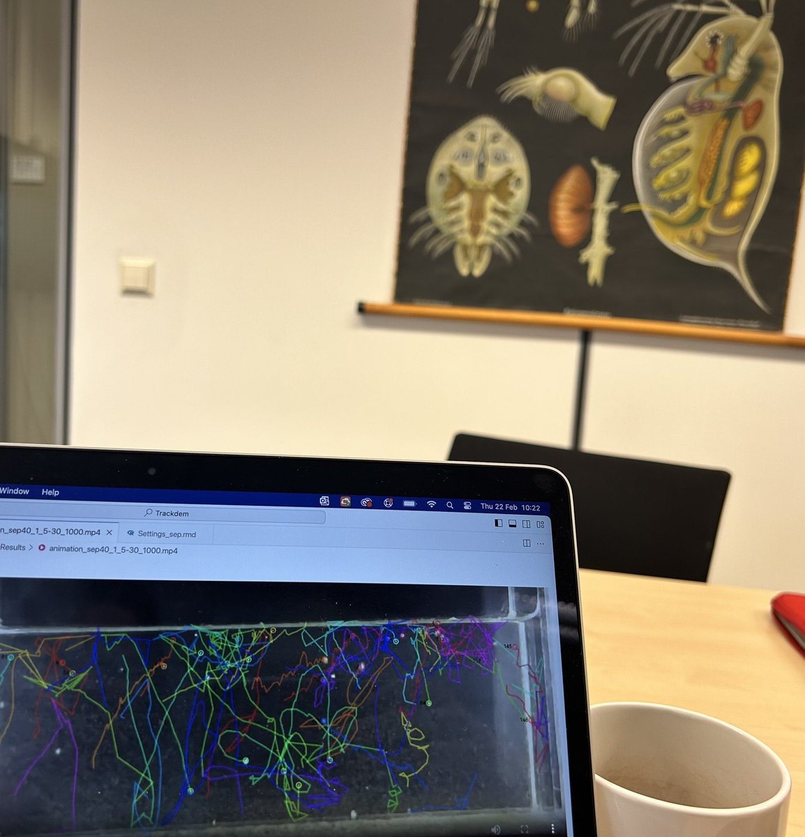 Nice day in the office with Bregje Brinkmann and work of Lan Dupuis Work in progress on swimming behaviour of waterfleas exposed to nano-embedded chemicals @LeidenScience European Research Council #ERC consolidation grant no 101002123 lnkd.in/eEKV6CDy