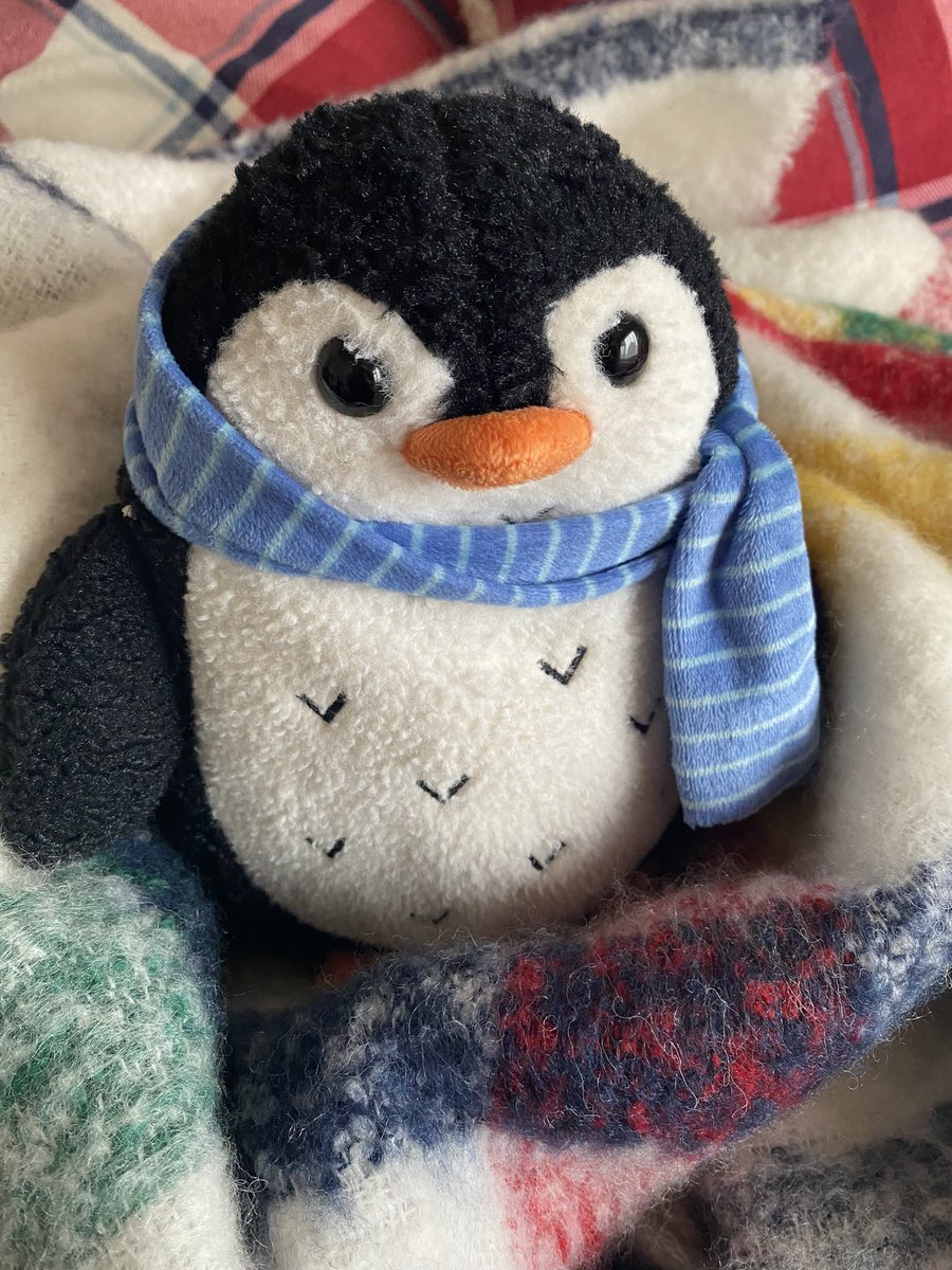 SadPenguinTime's tweet photo. Sad Penguin has had a bit of a week. People behave badly and penguins don’t understand why. 
Life is stressful. Life is uncertain. Penguin bodies are still a mess. 
But penguins keep going. Even when they’re falling apart. https://t.co/IZAwONGygl