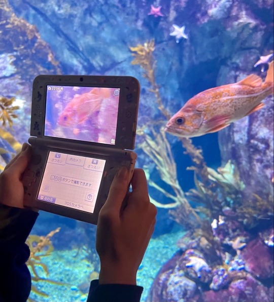 Forecasting retro-future trends.