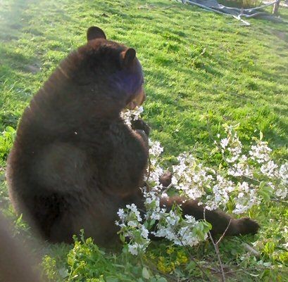 hansung, falaram de             e gostaram 
você pelas costas!       ⠀  ⠀͏  ͏da visão?