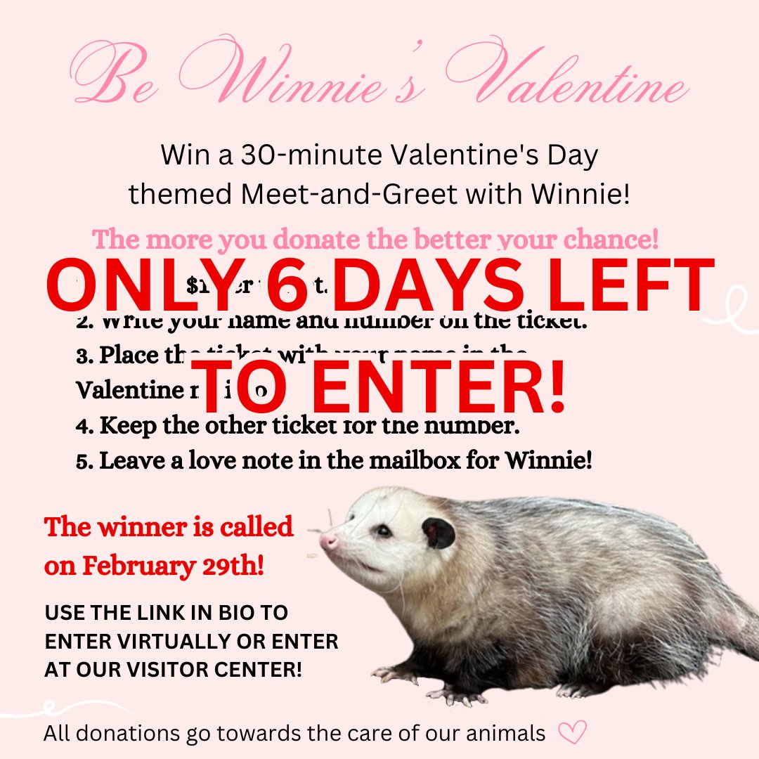 autreymill's tweet image. Click the link in our bio to enter the raffle! We will call the winner on 2/29! We are open 10-4 Tuesdays-Saturdays or Sundays 12-4. Each dollar equals one ticket. There is no limit per person to enter! Good Luck!