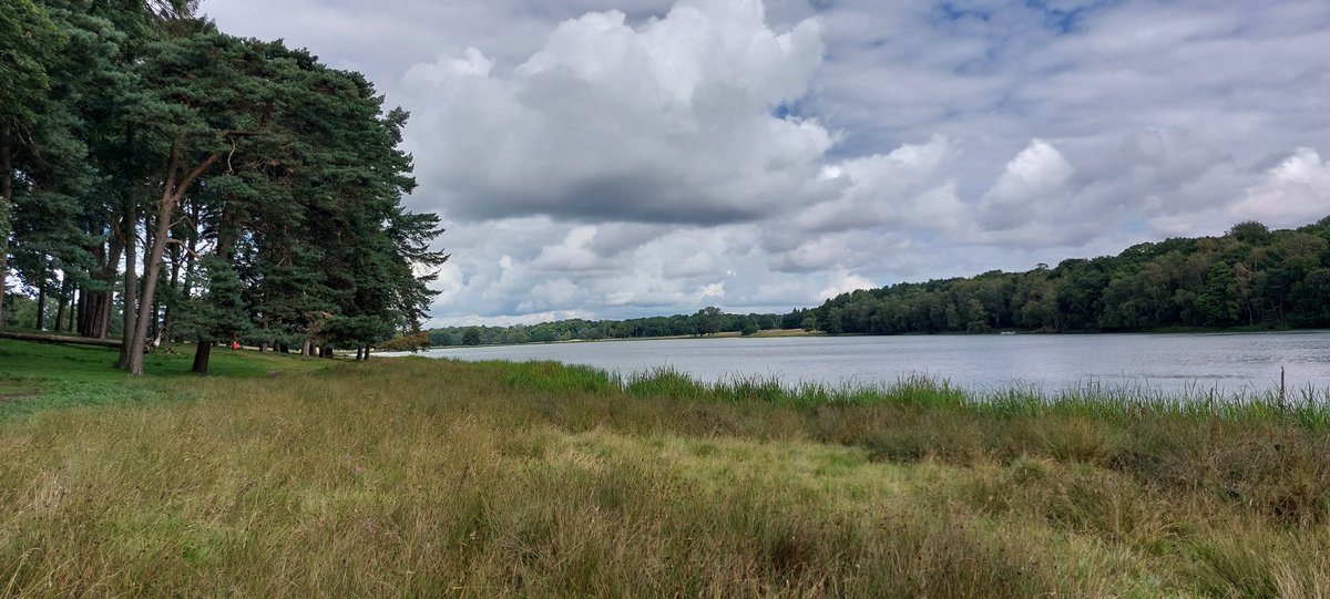 The mere at Tatton, need to dig the pike fishing gear out now ! @tatton_park #Knutsford #Cheshire