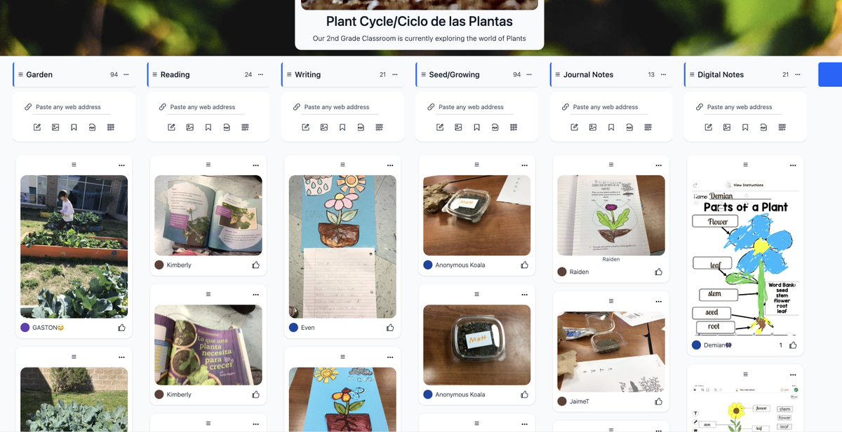 MrsTGonzalez's tweet image. Our 2nd Grade Classroom is currently Exploring "The World of Plants" @ScienceMISD @FieldsFalcons #FieldsInspires 🌱🥀
Writing ✅ Reading ✅ Science ✅ Digital Literacy @wakelet @Seesaw ✅ #wakeletwave

Visit our Collection: ⬇️ 🍀🌱
wakelet.com/wake/CyJ9AP4va…