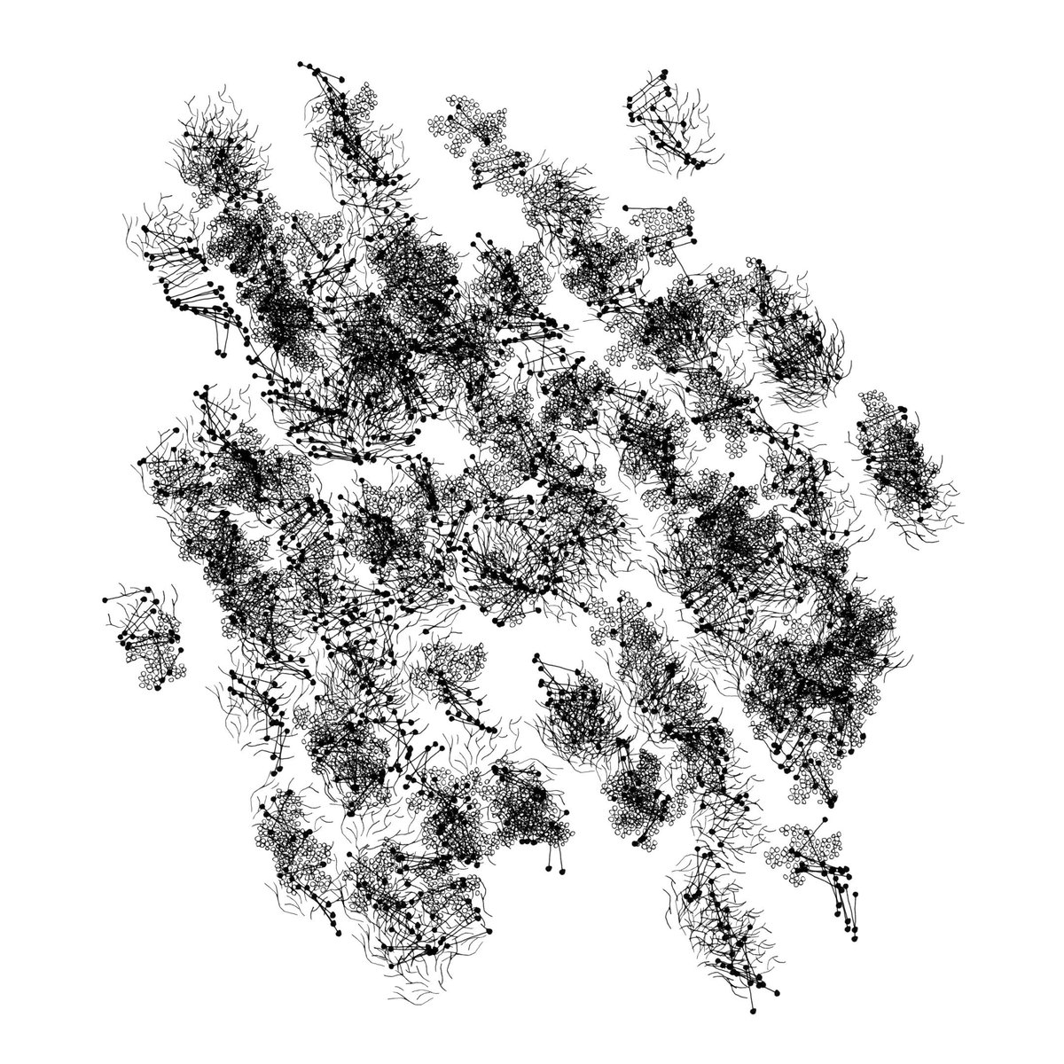 Stéphane Buellet tweet media