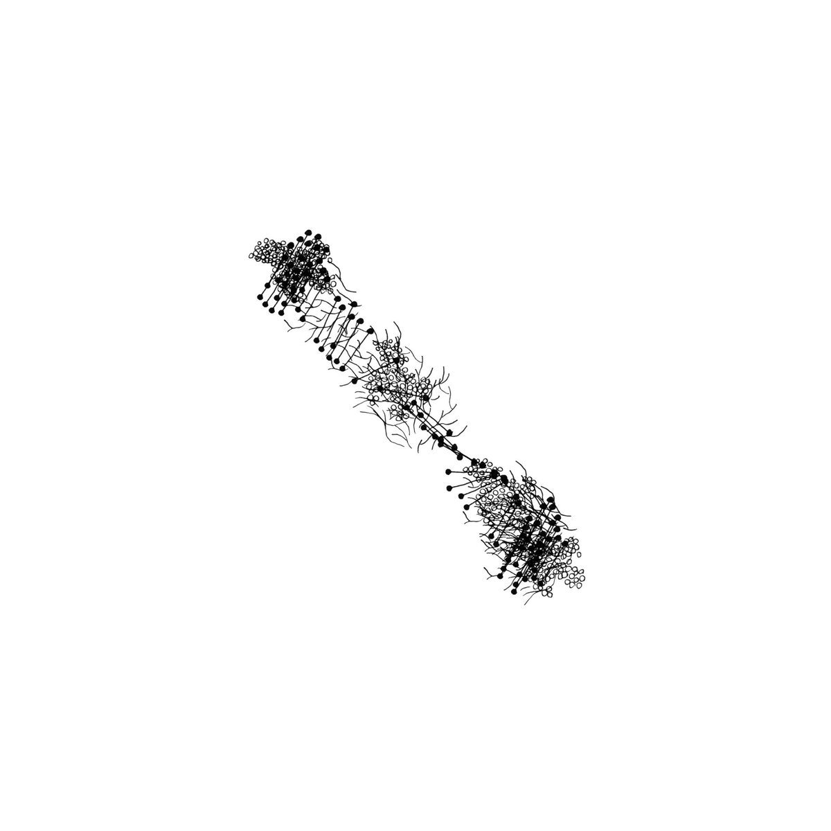 Stéphane Buellet (@sbuellet) on Twitter photo 