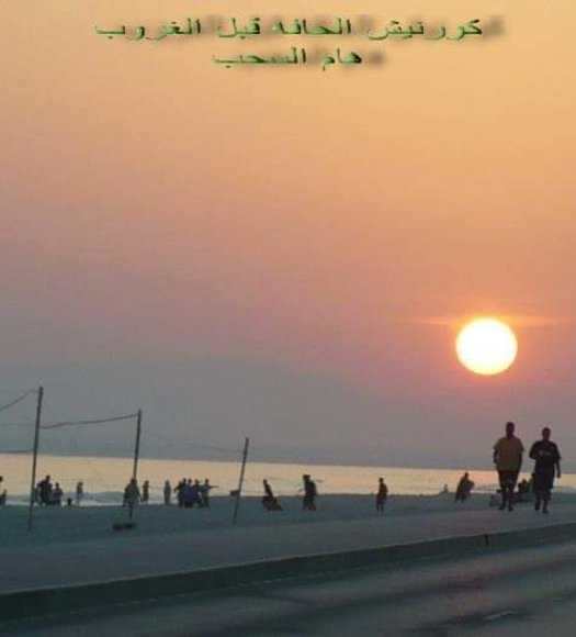 HafaNews's tweet photo. 🔵 صور منوعة أرشيفية منطقة الحافة قديما

#منطقة_الحافة
#سوق_شاطىء_الحافة
#منطقة_الحافة #سوق_الحافة
#محافظة_ظفار #سلطنة_عمان https://t.co/w62WcqGH5r