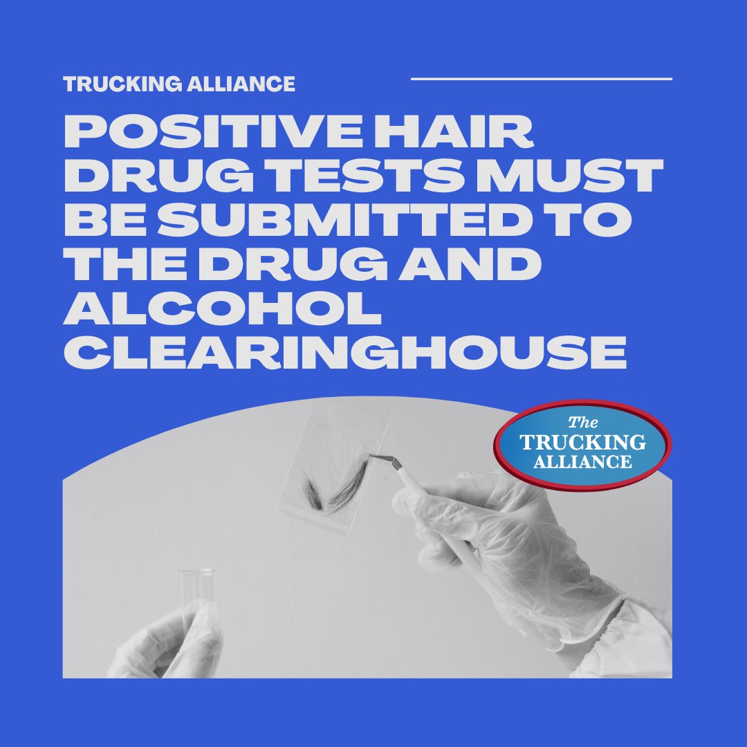 Truck_Alliance's tweet photo. Positive hair drug test results should be reported to the FMCSA's Drug and Alcohol Clearinghouse, enabling transportation companies to address illegal drug use by commercial drivers. Let's prioritize safety on our roads!
#SaferRoads #RoadSafety #Trucking #HairTesting https://t.co/JUY4jqmovY