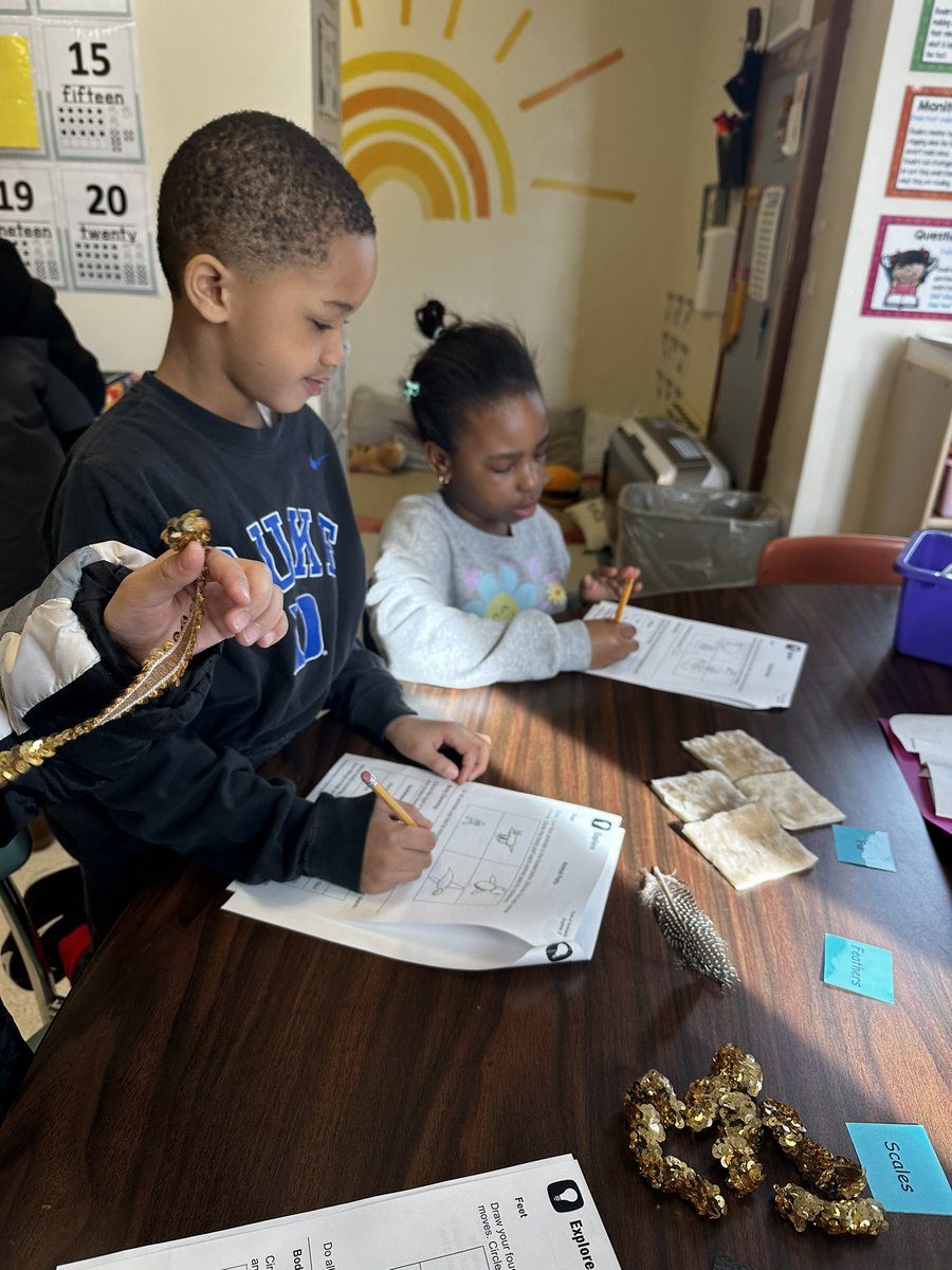 Students are investigating how animal body parts help them see, hear, move, and eat! 🦆🐯🐠