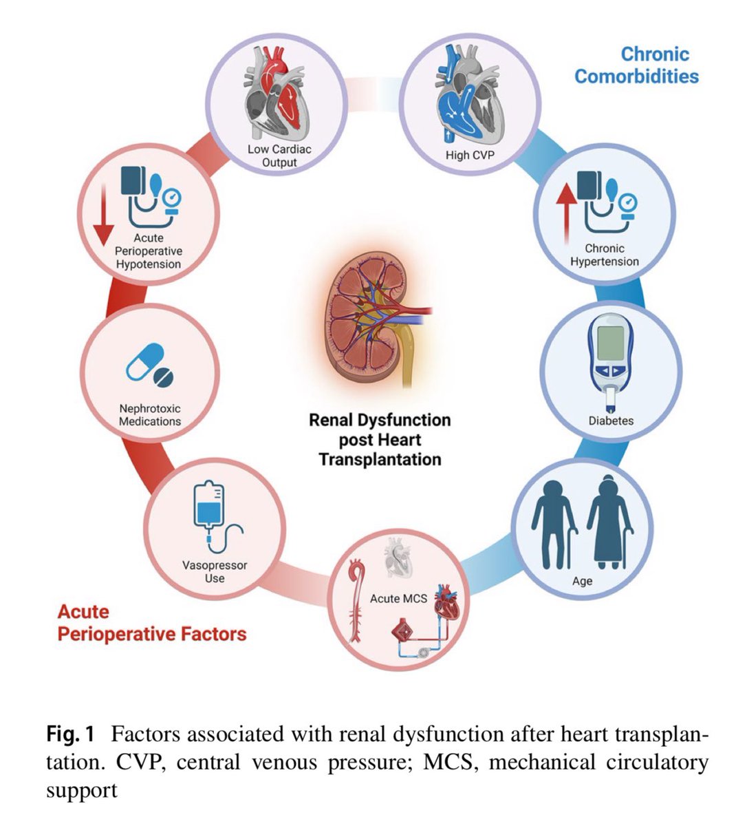 Anju Bhardwaj MD FACC tweet media