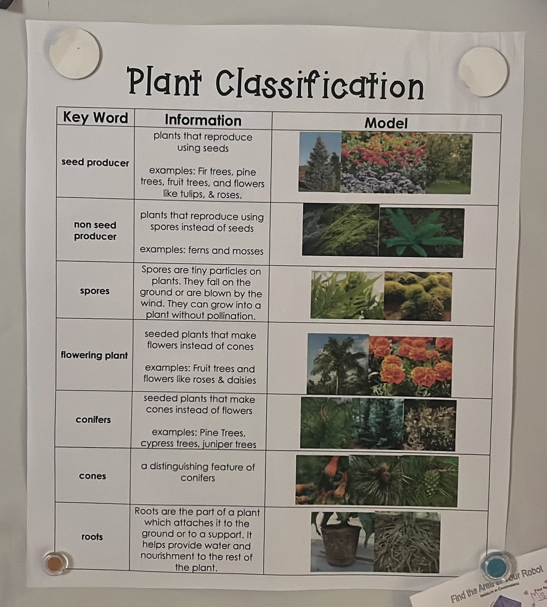Mrs_ThompsonCST's tweet photo. Another great use of a KIM chart in science! This chart helps 5th grade Ss use plant vocabulary for discourse. #KIMchart https://t.co/qQiRSnIgH4