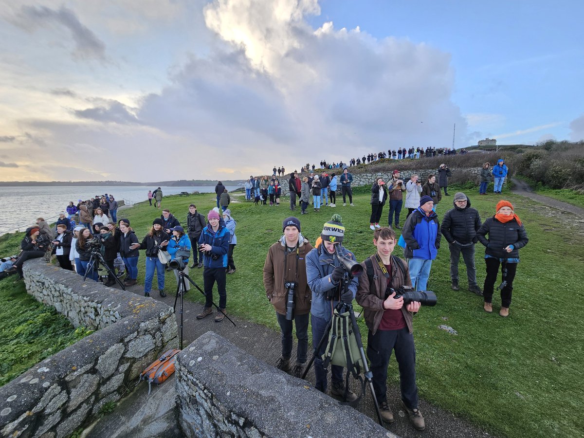 When I popped down to Pendennis Point with my parents this afternoon for a little walk, I wasn't expecting to find a Humpback Whale! It got even better when it was joined by another two! All three showed very well until dusk. They certainly drew a crowd! @MarineWatchSU