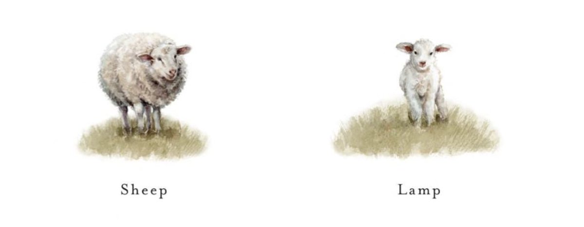 trying to find a cute vocabulary book for my friend's baby and this might be the one