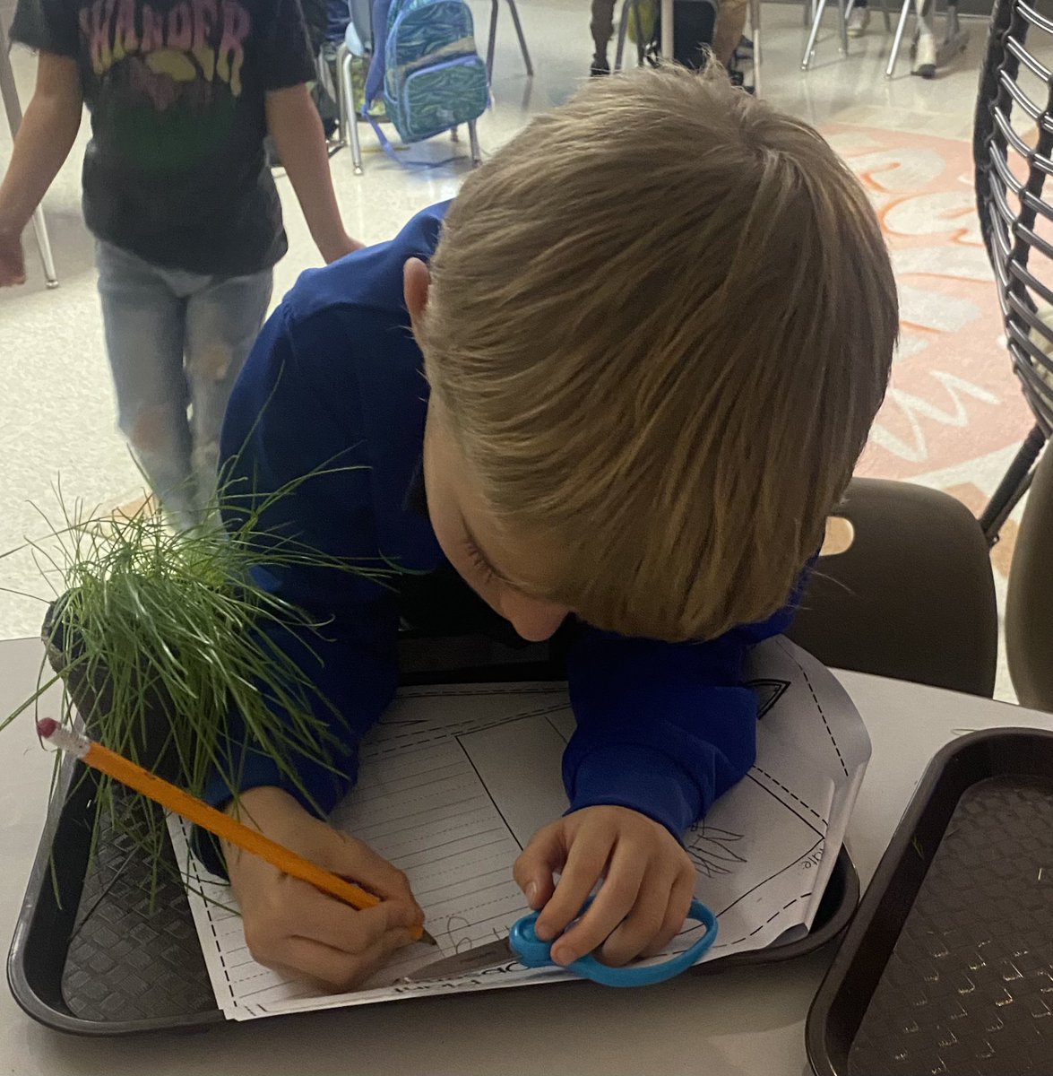 Amy Nelson (@mrsamynelsonfhs) on Twitter photo These little botanists <a href="/TCBOE/">Talladega Co Schools</a> <a href="/TCBOE_FHS/">Fayetteville School</a> have been learning all about plants! They were so excited to document their observations and cut their grass today!!!! #LeadersofthePack These little botanists <a href="/TCBOE/">Talladega Co Schools</a> <a href="/TCBOE_FHS/">Fayetteville School</a> have been learning all about plants! They were so excited to document their observations and cut their grass today!!!! #LeadersofthePack