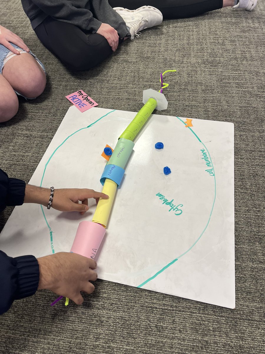 scienceballa's tweet photo. Sometimes the fewer the instructions/limitations the better the product! AP Bio students were given the open ended task to design a working model that demonstrates prokaryotic gene regulation 🧬 @WalnutGroveHS #prosperscience https://t.co/ZoIVd9C7DM