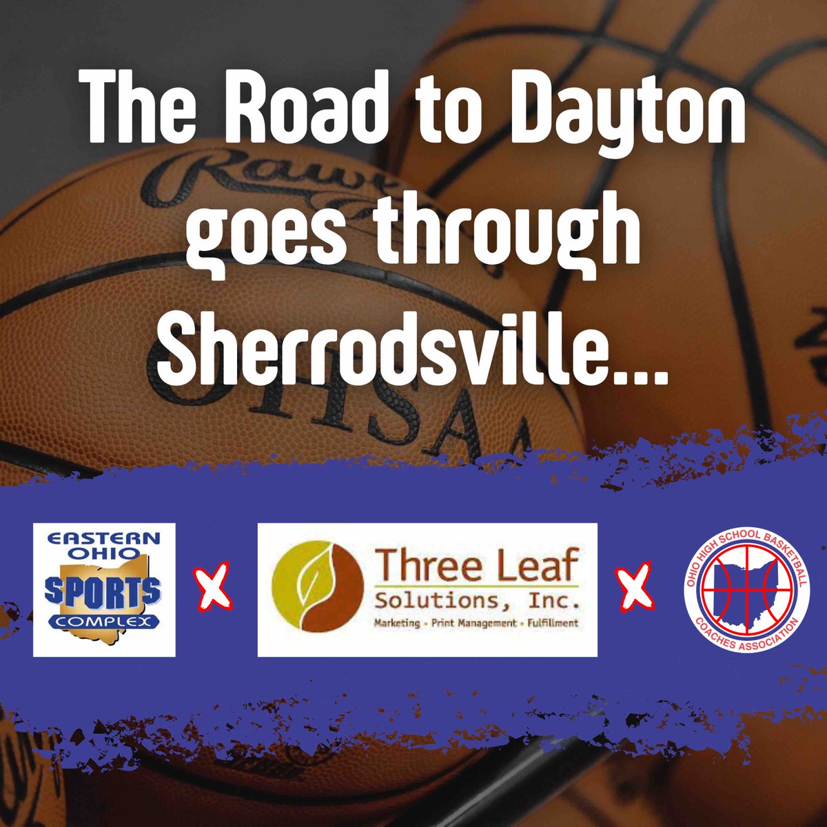 Thank you to Larry Huggins and his staff at Three Leaf Solutions, Inc. and the Eastern Ohio Sports Complex for your support of the OHSBCA.