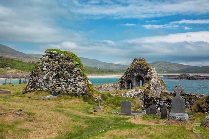 Ahamore Abbey is situated a tad further up the coast from Daniel O'Connell's ancestral home at Derrynane.

The ruined medieval church once belonged to an Augustinian Abbey. It's located near the town-land of Caherdaniel & is very close to Derrynane House.
📸Tuatha
@WildDerrynane