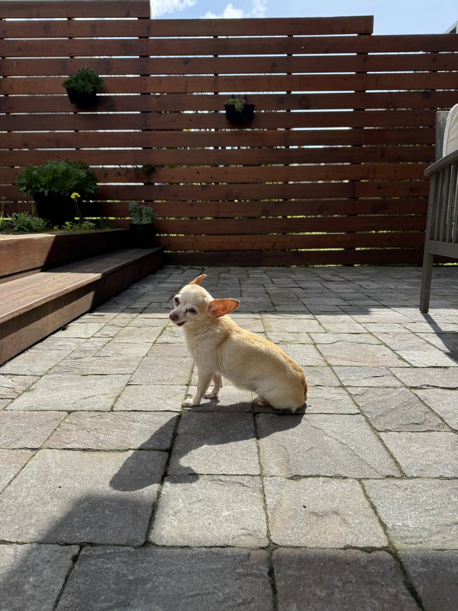 motifsinthecity.bsky.social tweet media