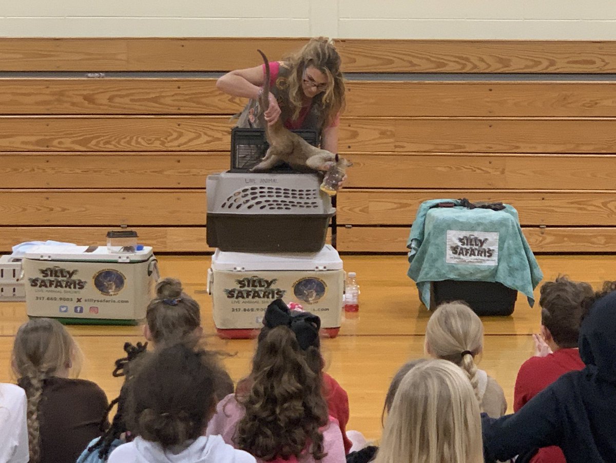 mrsgue1's tweet photo. #HarrisHappenings today…Silly Safaris! Thanks @uwci for the Literacy Matters Grant which allowed us to build our background knowledge through the show and books to read at school and take home! Thanks @HarrisElem_Prin for letting us invite guests in! https://t.co/lBsKL09OsO