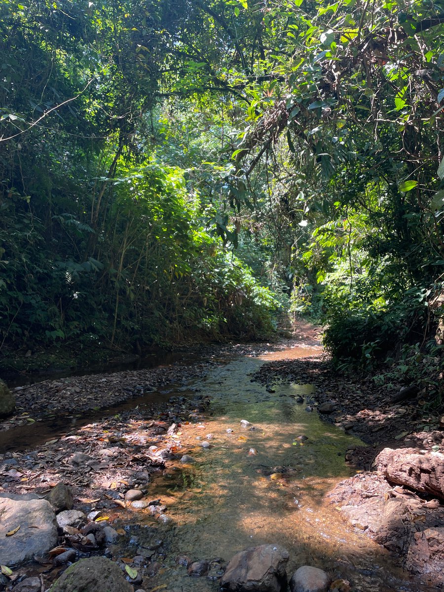 LuVargasAraya's tweet photo. Días de explorar paisajes de #CRWow 💚🍃🍃🥾🥾
Some landscapes lately! https://t.co/45617jzHxa