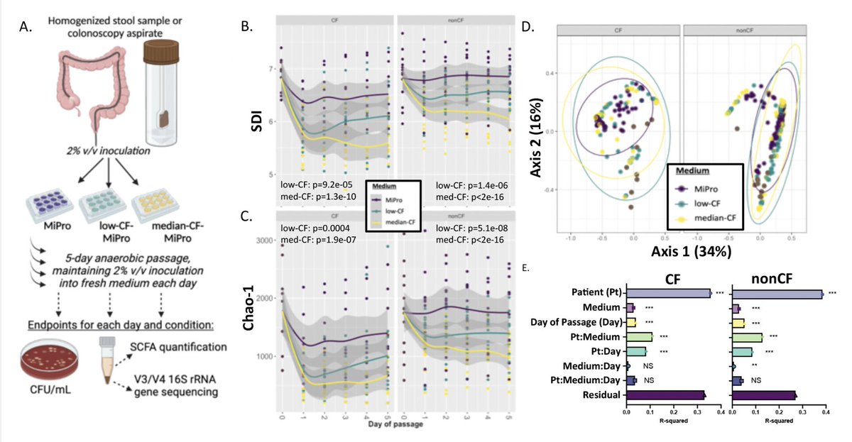 New in JB: @KaitlynBarrack and @GeiselBiofilm report a new medium for culturing and studying CF gut microbiota in vitro. @DartCF. doi.org/10.1128/jb.002… @ASMicrobiology @JBacteriology