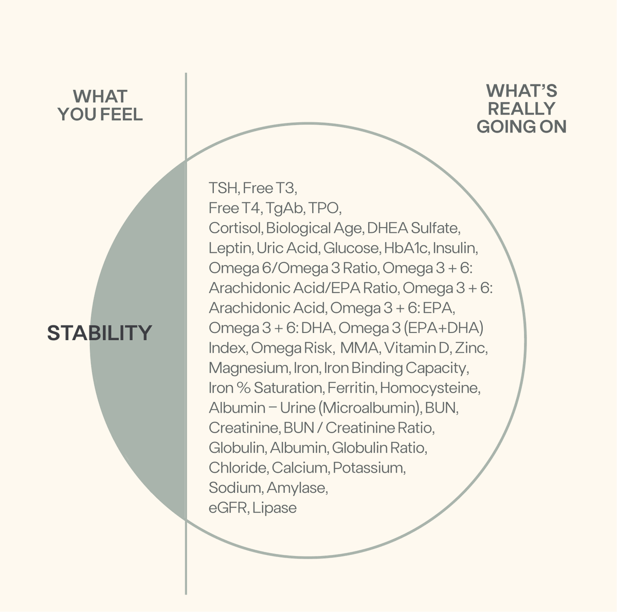 function's tweet photo. Stability isn't just a state of mind; it's a balance of body chemistry.

Just like the roots of a tree, our inner workings—hormones, nutrients, enzymes—are what truly hold us steady.

But how do you nourish your roots for true, unwavering stability?

You dive deep. You test, not guess.

By understanding the complex interplay of biomarkers, we can ensure the part we don’t see is just as strong as what we do.

With over 100+ whole body tests, Function is not just guessing what's beneath the iceberg—we're knowing, improving, and achieving real stability, inside and out.

Don't just look stable. Be stable.
https://t.co/fK2dTEfDDb