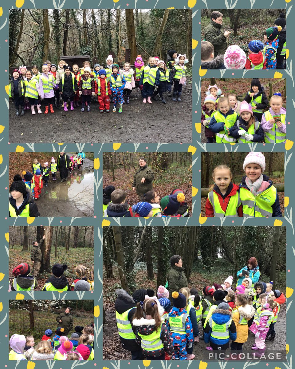 MpReception tweet media