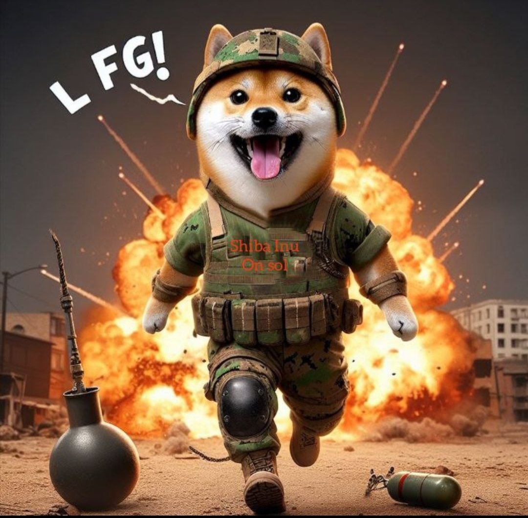 Shiba Inu On Solana tweet media