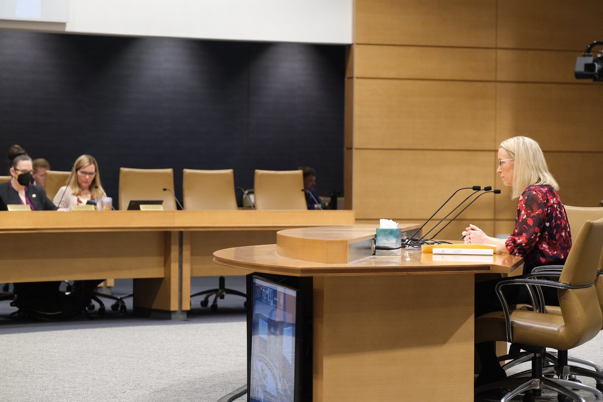 FairVoteMN's tweet image. The Local Voices, Local Choices Act is moving on! The #mnleg senate elections committee has voted to forward the bill on for further consideration. Thanks to @SenatorCarlson for a smooth hearing! Let's give local jurisdictions the power to choose RCV!
#localvoiceslocalchoices