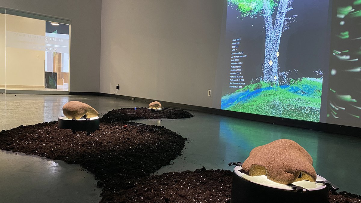 JaneTingley's tweet photo. Foresta-Inclusive:(ex)tending towards is almost ready for the opening on Sunday Feb 25th from 1-3pm in Ottawa at the Shenkmen Art Centre at the School of Art Gallery Orèans. https://t.co/LSkQHUbYSo