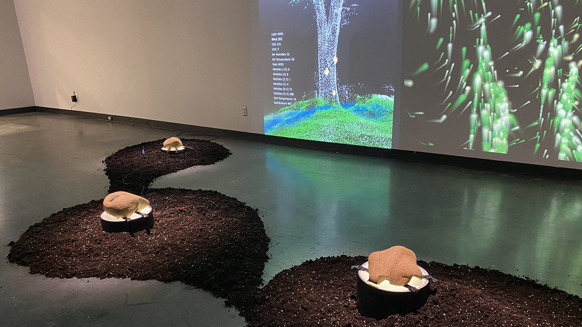 JaneTingley's tweet photo. Foresta-Inclusive:(ex)tending towards is almost ready for the opening on Sunday Feb 25th from 1-3pm in Ottawa at the Shenkmen Art Centre at the School of Art Gallery Orèans. https://t.co/LSkQHUbYSo