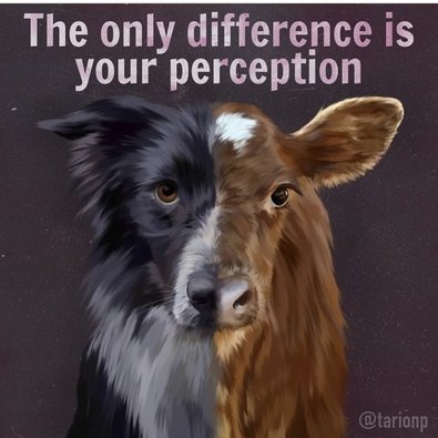 Vegan Future tweet media