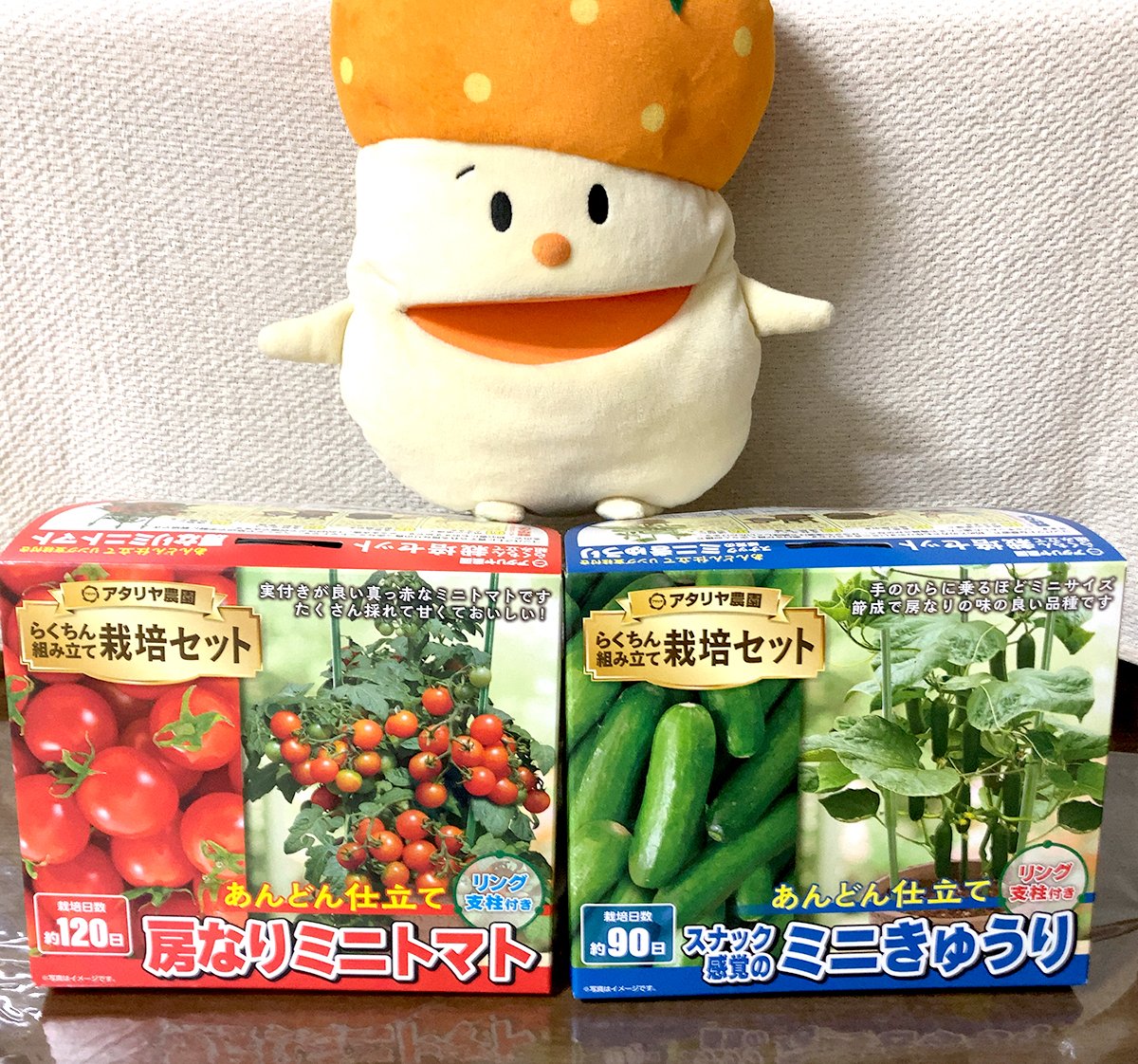 なんかメッチャでっかい箱が届いたぞ…📦 なんだろなんだろ…って