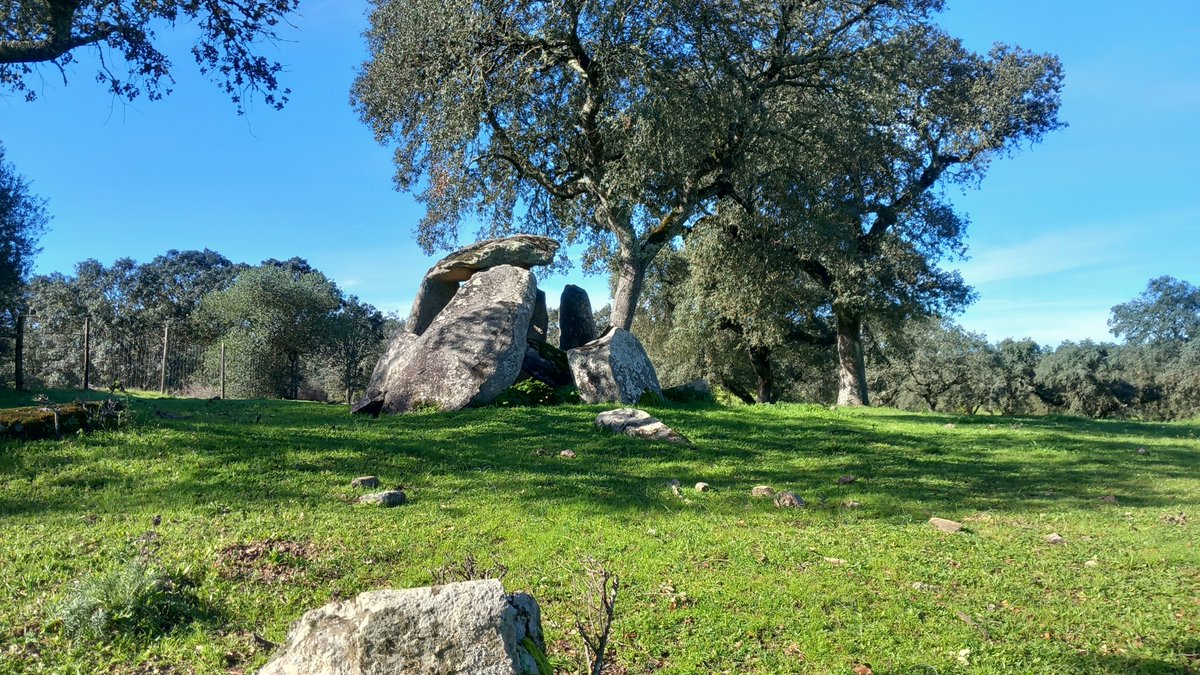 Post #3 of the 'Archaeologist on Staycation' series is out! Visit the blog to know more about this dolmen.  👇👇

mymegalithicadventure.wordpress.com/2024/02/22/3-a…

#roadsidedolmens #megaliths #neolithic #burialchamber #alentejo #ancientstonebothering #archaeologistonstaycation #iberianmegaliths #dolmen