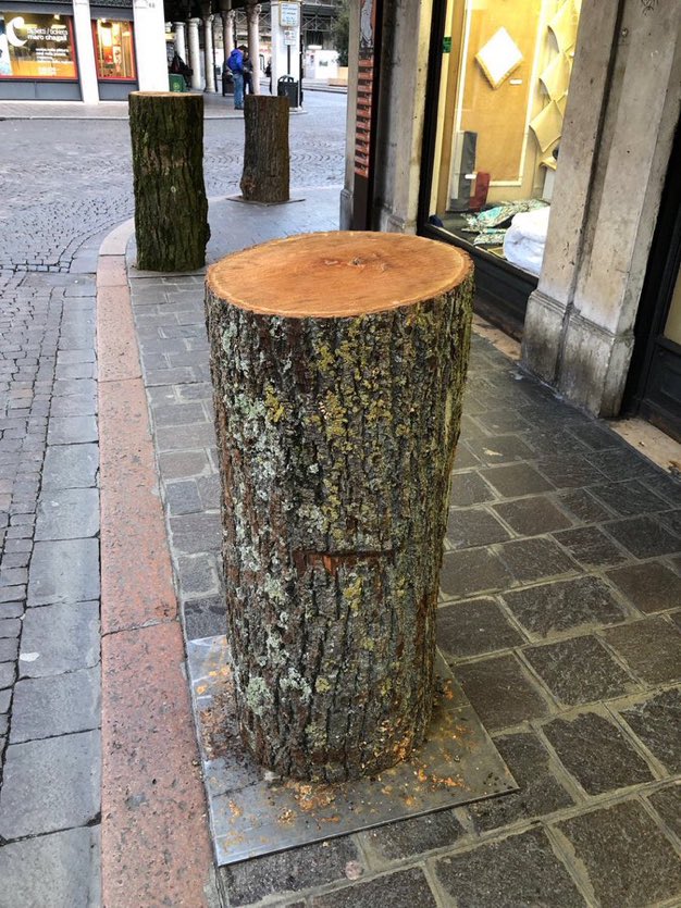 Finally…a use for trees. #WorldBollardAssociation
