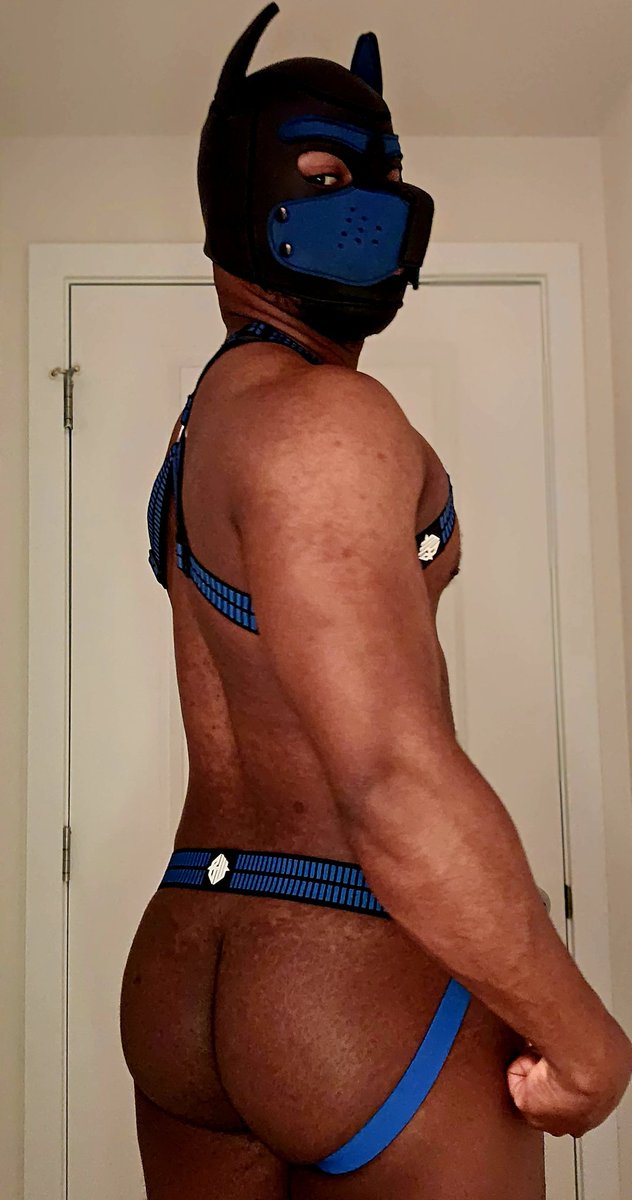 KingOfFaeries3's tweet photo. Do you like my new outfit? https://t.co/VkaBUCyabw