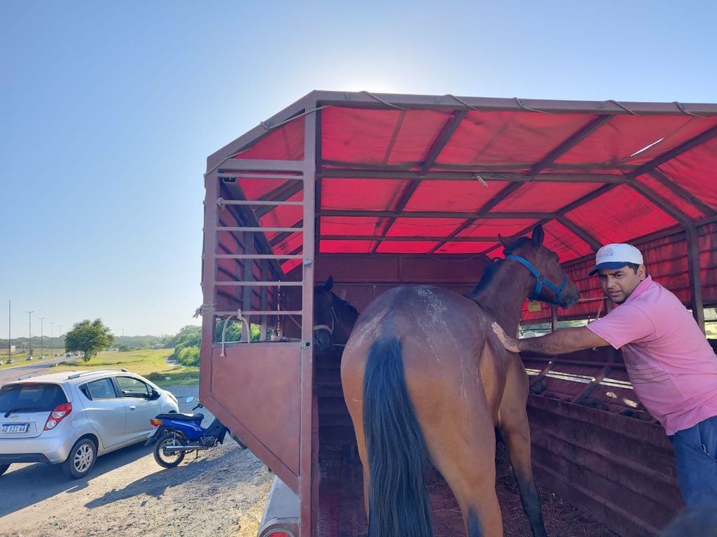 Sin_Estribo's tweet photo. Queremos agradecerles por dejar esa vida atrás y por querer cambiar. Los caballos ya están a salvo en su nuevo hogar, la yegua tiene una infección en su pata trasera grave que ya está siendo tratada.
#SinEstribo https://t.co/ClpAvBl4JA