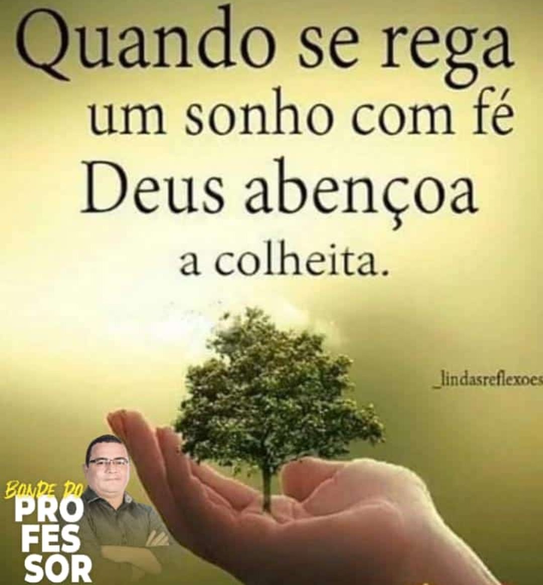 Prof. 〽️árcio Bandeira 🇧🇷 tweet media